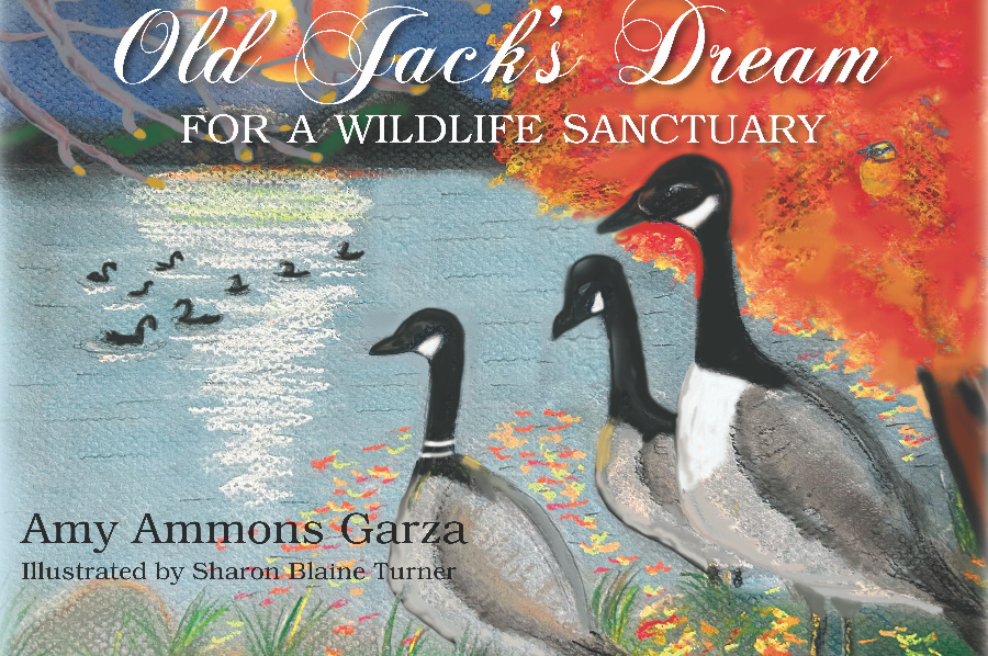 Old Jack's Dream  (For a Wildlife Sanctuary) Image