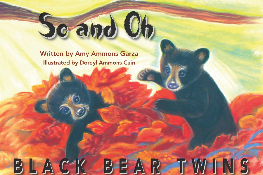 So and Oh — Black Bear Twins Image